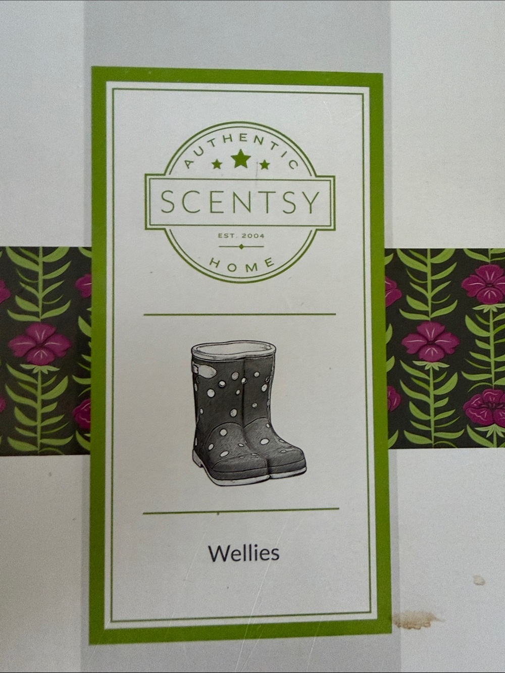 Scentsy Wellies Green and Pink Accent Packaging